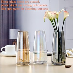 oem/odm services fantesticryan modern glass vase irised crystal clear glass vase for home office decor (neon clear) affordable bulk deals