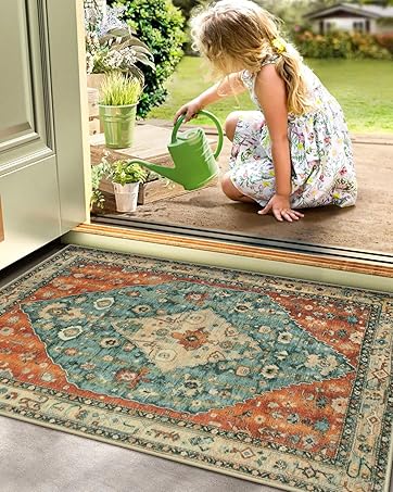 global sourcing lahome boho moroccan throw rug,washable black white 2x3 entryway rug non slip,low-pile soft bath mat rustic tribal kitchen farmhouse rugs for entry front door (2x3ft) oem/odm services