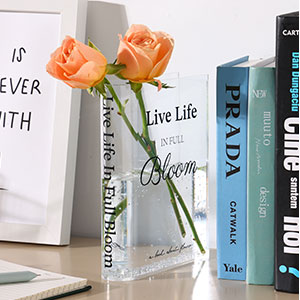 oem/odm services fixwal acrylic book vase for home decor, 6x8 inches aesthetic room decor, clear book shape artistic irregular transparent vase, bedroom or office decorations affordable bulk deals