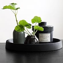 wholesale direct lobolighting black round decorative serving tray, black decorative tray for coffee table centerpieces modern farmhouse home decorations bulk purchase at factory prices
