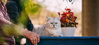 producer to buyer pet memorial gifts, 28