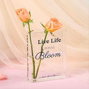 oem/odm services fixwal acrylic book vase for home decor, 6x8 inches aesthetic room decor, clear book shape artistic irregular transparent vase, bedroom or office decorations affordable bulk deals