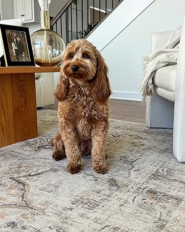 manufacturer direct ruggable kaden washable rug - perfect vintage area rug for living room bedroom kitchen - pet & child friendly - stain & water resistant - amber red 3'x5' (standard pad) trade price