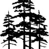 factory direct metal pine tree wall art decor nature home decor cedar tree metal sign wall decorations for living room, nature forest metal decor, tree wall art, nature lover gift (black, larger) volume discount