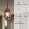 custom wholesale noxarte vintage pendant light lantern ceiling light fixture with glass shade adjustable chain for kitchen island farmhouse loft porch width 7 inch x height 15 inch oem/odm services