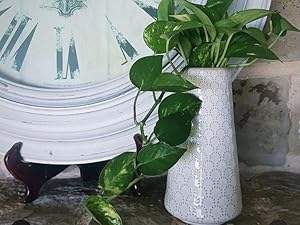 oem/odm services ceramic vase for decor, 6 inch+7.1 inch white flower vase for lego flowers, tulip and pampas grass, embossed farmhouse vases for centerpieces,home living room dining table office decor, arctic white affordable bulk deals