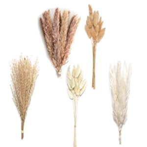 oem/odm services velova set of 3 white ceramic vase with 65 pcs dried pampas grass flowers aesthetic boho modern small round cute vases for decor living room coffee table shelf bedroom office desk home gifts women mom affordable bulk deals