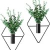 factory direct jexine 2 pcs hanging planters with artificial plants metal hanging vase indoor plants holder modern geometric boho wall decor for living room home office(black, eucalyptus) volume discount