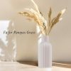 oem/odm services vase, white ceramic flower vase, minimalist modern home decor, matte finish pampas grass vase for table, fireplace, shelf, mantel, entryway and centerpieces affordable bulk deals