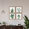 bulk purchase artbyhannah framed bathroom wall art set of 4 for botanical wall decor green plant picture frame collage set for home living room decoration (walnut, 10x10) trade price