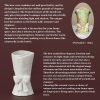oem/odm services white ceramic vase unique cute bow decorative bouquet flower vases, 9.64in large modern dried flowers tulips branches vase for home living room table decor women girl gifts affordable bulk deals