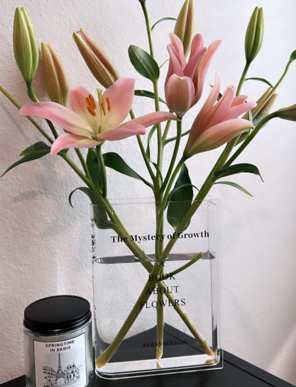 oem/odm services puransen clear book flowers vase - cute bookshelf decor; unique vase for book lovers, artistic and cultural flavor acrylic vases for home office decor, a book about flowers (clear - b) affordable bulk deals