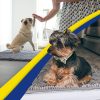 global sourcing muddy mat® shown on tv highly absorbent microfiber door mat and pet rug non slip thick washable area and bath mat soft chenille for kitchen bathroom bedroom indoor and outdoor - grey medium 30"x19" oem/odm services