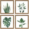 bulk purchase artbyhannah framed bathroom wall art set of 4 for botanical wall decor green plant picture frame collage set for home living room decoration (walnut, 10x10) trade price