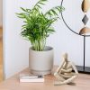 dropship from factory bookshelf decor thinker statue - abstract art reading thinker sculpture figurine room decor aesthetic, modern home decoration for living room office shelves coffee table desk decor(beige a) mass production supply