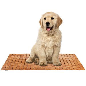 manufacturer direct dicunoy bamboo bath mat, bathroom shower rug, wooden toilet doormats for shower doorsteps, sauna, tub (23.6