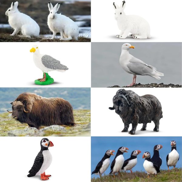 dropship from factory toymany 14pcs mini arctic animals figurines set, polar animals toys with polar bear, caribou, penguin, walrus, wolf figurines cake toppers birthday easter gifts for preschool kids mass production supply