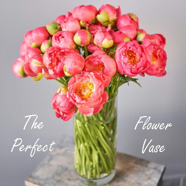 oem/odm services cys excel clear glass cylinder vase (h:12" d:4") | multiple size choices glass flower vase centerpieces | hurricane floating candle holder vase affordable bulk deals