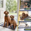 global sourcing muddy mat® shown on tv highly absorbent microfiber door mat and pet rug non slip thick washable area and bath mat soft chenille for kitchen bathroom bedroom indoor and outdoor - grey medium 30"x19" oem/odm services