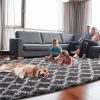 global sourcing plush area rug 4x6 feet high pile rugs for living room, ultra soft indoor carpet for bedroom, playroom, playroom, home decor, geometric, dark grey/white oem/odm services