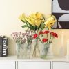 oem/odm services glass vase, ribbed vase, flower vase, fluted glass vase, clear vase, ribbed glass vase for flowers, modern vase for living room, dining table, entryway, shelf, wedding, office, 7.5 inches affordable bulk deals