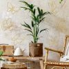 factory direct hotop 6 pieces metal butterfly wall decor metal wall art heart hanging decorations wire flowers decor wall decals for kitchen bathroom indoor outdoor wedding birthday party (gold,butterfly) volume discount
