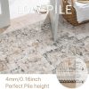 global sourcing genimo area rug 2x3 doormat, machine washable low pile rugs, small retro chenille entryway mat for entrance, hallway, kitchen and corridor, light taupe brown oem/odm services