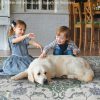 global sourcing door mat 2x3 rug, small boho area rug for living room, machine washable kitchen rugs non-slip, entry mat indoor low pile throw floral rugs grey carpet for bedroom, entryway, hallways oem/odm services