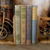 supplier direct deco 79 vintage wood bookends metal cycle pr h-26778, 7"w, 9"h, brass wholesale prices
