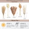 oem/odm services velova set of 3 white ceramic vase with 65 pcs dried pampas grass flowers aesthetic boho modern small round cute vases for decor living room coffee table shelf bedroom office desk home gifts women mom affordable bulk deals