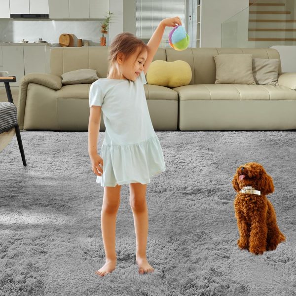 global sourcing ultra soft rug for living room, 5x8 fluffy shag area rug for bedroom, modern shaggy carpets fuzzy rug for teens dorm nursery home decor aesthetic, upgrade anti-skid durable, grey oem/odm services