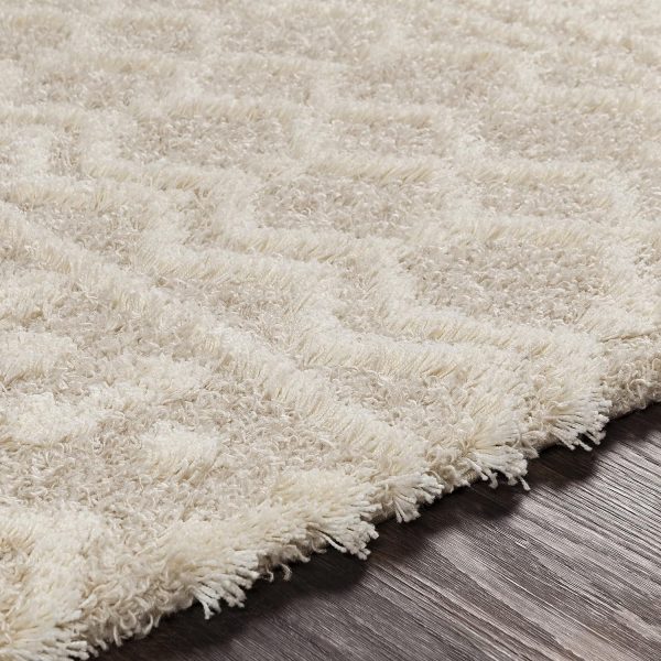 global sourcing livabliss hapsburg moroccan shag area rug, 7'10" x 10'2, beige oem/odm services