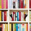 supplier direct ecqizer peeping cat metal bookends cute cat book ends for shelves bookshelf decorative objects home office desk bookshelf decor cat lover gifts for women (black) wholesale prices