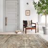 global sourcing loloi layla 9'-0" x 12'-0" area rug in olive/charcoal - thick area rug, soft area rug with, vintage inspired distressed design, low pile, non-shedding, easy clean, durable living room rug oem/odm services