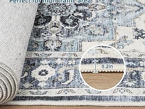 global sourcing dripex vintage collection washable area rug - 2x3 door mat small entryway rug distressed non-slip low-pile floor carpet for indoor front entrance kitchen bathroom living room bedroom oem/odm services