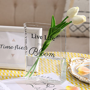 oem/odm services fixwal acrylic book vase for home decor, 6x8 inches aesthetic room decor, clear book shape artistic irregular transparent vase, bedroom or office decorations affordable bulk deals