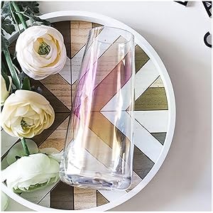 oem/odm services fantesticryan modern glass vase irised crystal clear glass vase for home office decor (neon clear) affordable bulk deals
