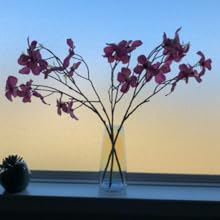 oem/odm services fantesticryan modern glass vase irised crystal clear glass vase for home office decor (neon clear) affordable bulk deals